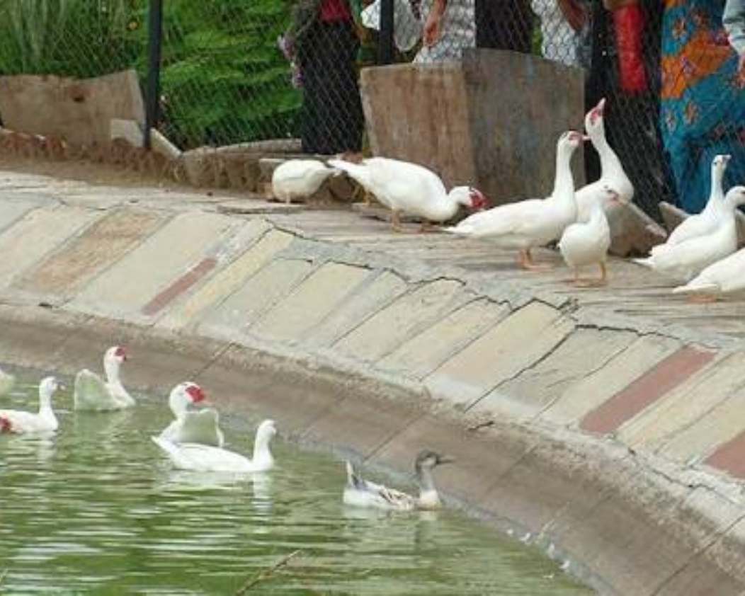 Sarthana Nature Park